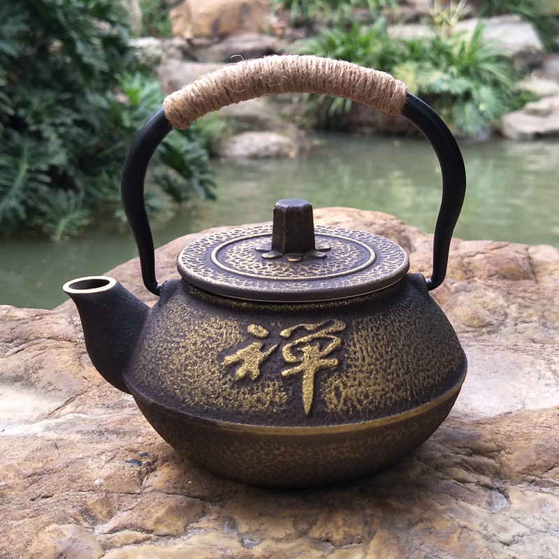 Cast Iron Tetsubin - Tetera japonesa de hierro fundido, hervidor